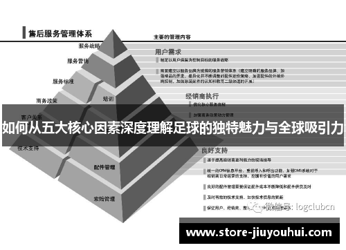 如何从五大核心因素深度理解足球的独特魅力与全球吸引力